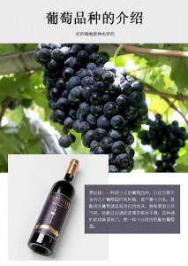 ​茅台股价160元(茅台股价最高是多少)