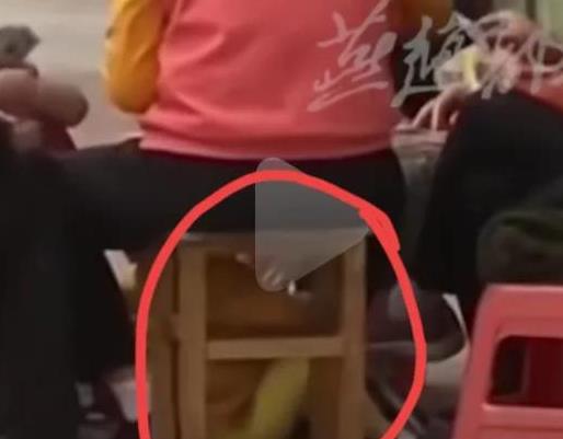 360截图20230407092049806.jpg