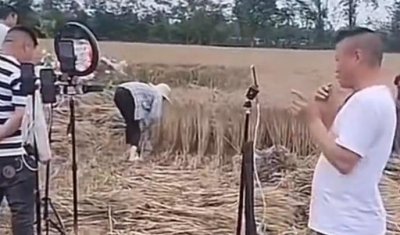 ​网红扎堆到麦地直播割麦（帮忙还是添乱…媒体：农民的苦）