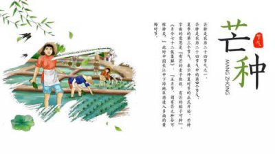​芒种节气风俗  芒种节气民间风俗