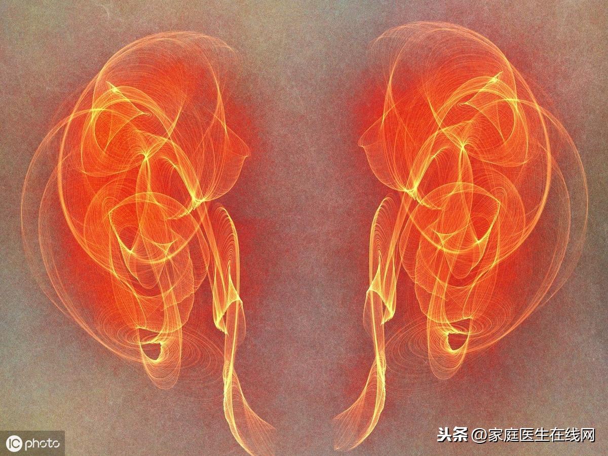 人有几个腰子(割腰子会死人吗)