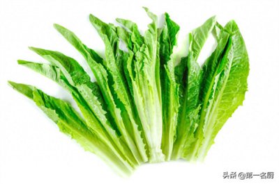 ​绿叶蔬菜有哪些品种(绿叶菜类蔬菜有哪些)