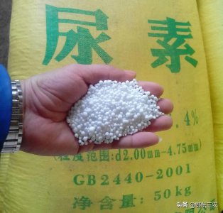 ​含氮高的肥料有哪些(含氮高的肥料有什么作用)