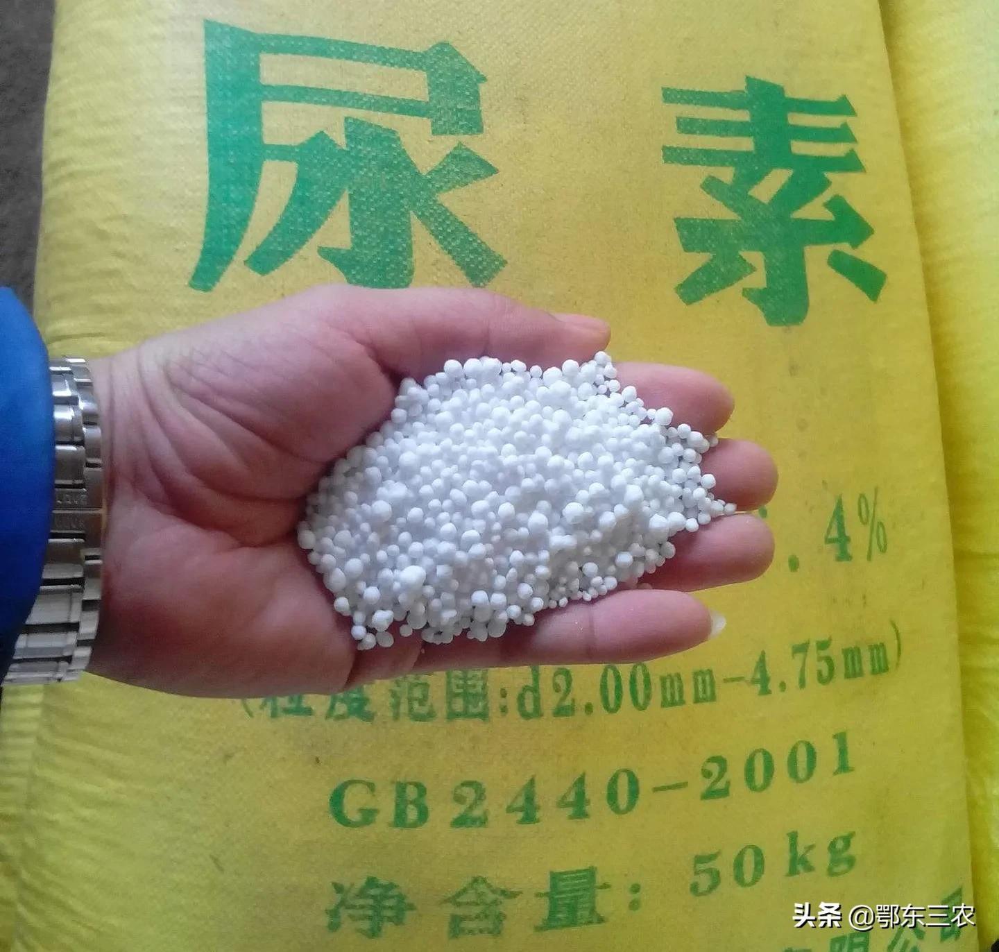 含氮高的肥料有哪些(含氮高的肥料有什么作用)