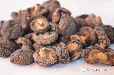 ​羊肉属于发物类吗(羊肉是发物的食物吗)