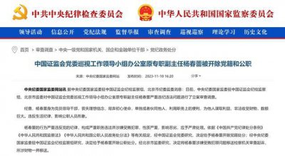 ​副主任杨春蕾被“双开”：违反生活纪律，影响公职人员形象