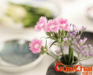 ​花的句子唯美心情短语发朋友圈 表达花的句子唯美心情短语