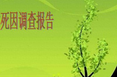 ​雷洋事件为何反响这么大？律师呼吁死因由法庭裁决