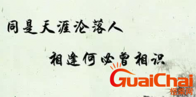 ​“同是天涯沦落人，相逢何必曾相识”的全诗 作者