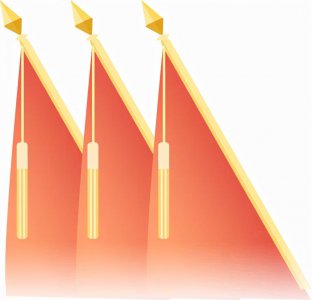 ​扫黑除恶先进事迹杨丽娜：用担当诠释忠诚，以实干书写答卷