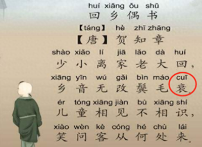 ​“乡音无改鬓毛衰”的“衰”字怎么念？是“shuai”还是“cui”？