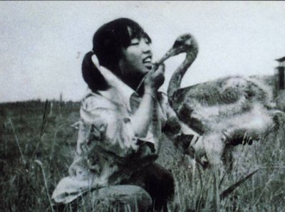 ​还记得丹顶鹤女孩吗？她离开我们已经30年了，听完这首歌我哭了！
