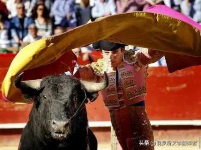 ​残忍的斗牛赛，为什么屡禁不止