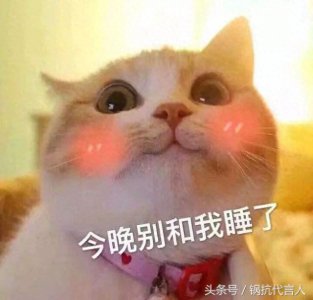 ​楚河贱圣宠物一个丢一个病，网友：游戏主播不适合养宠！
