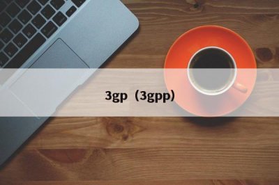 ​3gp（3gpp）