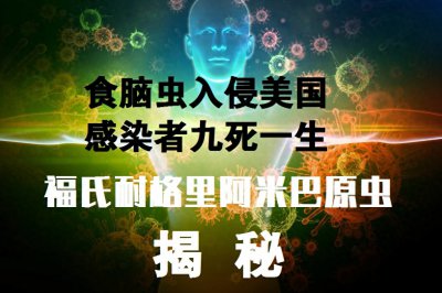 ​美国出现“食脑虫”感染者，专家解读来龙去脉