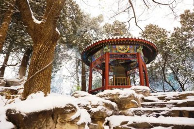 ​初雪后的大学校园！组图→