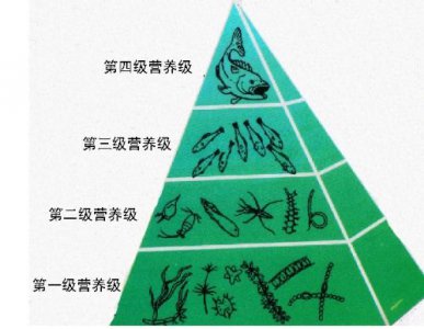 ​太阳为什么会发光 太阳发光是因为核聚变，为什么它不像氢弹瞬间爆炸并燃烧殆尽
