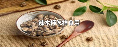 ​如何食用辣木籽? 辣木籽 食用方法
