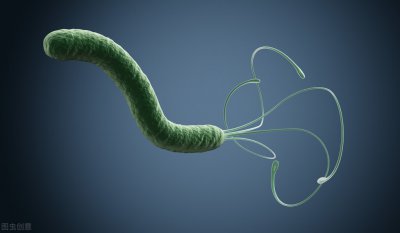 ​幽门螺杆菌治疗药物 新研究：根除幽门螺杆菌，2个药就可以，效果好而副作用少