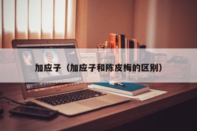 ​加应子（加应子和陈皮梅的区别）