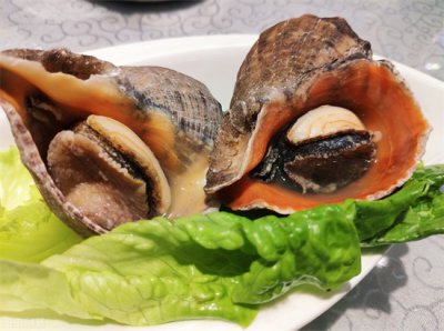 ​海螺煮多久能熟不老（海螺煮多久能熟？冷水下锅好还是热水？煮几分钟最好吃？