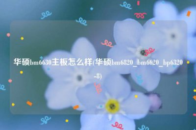 ​华硕bm6630主板怎么样(华硕bm6820_bm6620_bp6320-8)