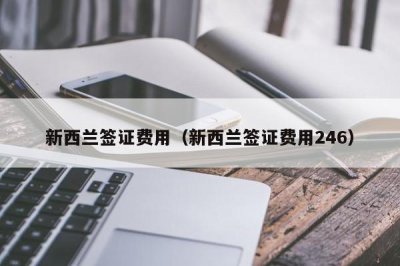 ​新西兰签证费用（新西兰签证费用246）