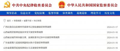 ​中纪委连发8份通报！多名纪检“内鬼”被查，有人已退休10年