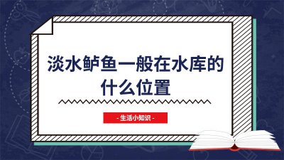 ​水库大鲈鱼一般在哪里 水库鲈鱼在哪个水层