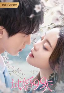 ​有哪些先结婚后恋爱的电视剧好看（10部先结婚后恋爱的电视剧推荐）