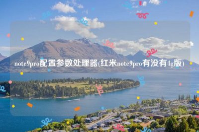 ​note9pro配置参数处理器(红米note9pro有没有4g版)