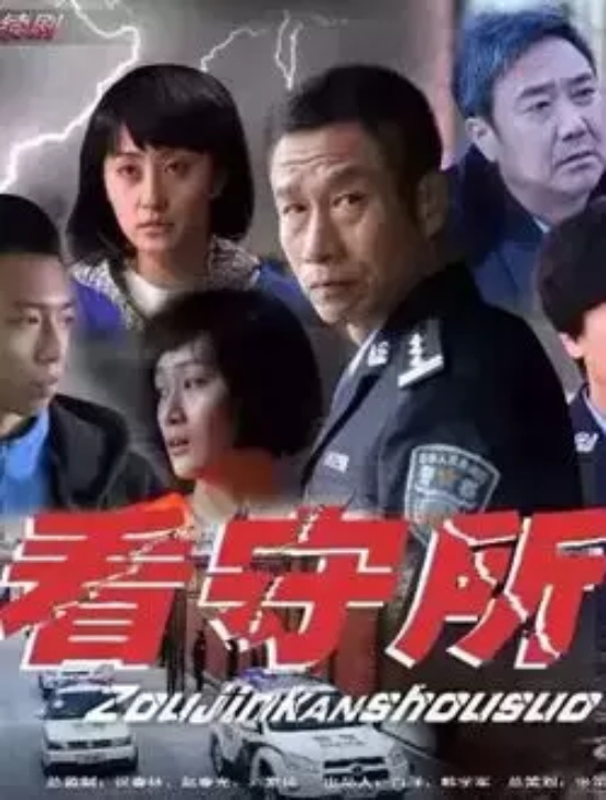 朴英子是什么电视剧的人物（走进看守所电视剧剧情介绍）