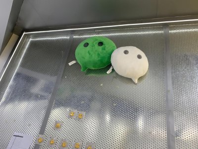 ​微信音乐和微信音频的天花板，可能相差很多