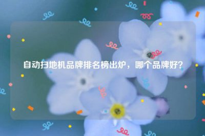 ​自动扫地机品牌排名榜出炉，哪个品牌好？