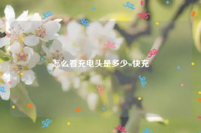 ​怎么看充电头是多少w快充
