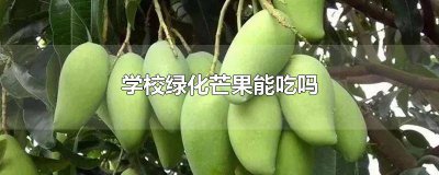 ​学校绿化芒果熟了能吃吗 绿化芒果能吃嘛