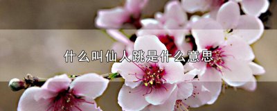 ​仙人跳什么意思呢 什么仙人跳是什么意思?