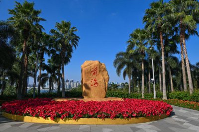 ​软硬联通，协同融合——《粤港澳大湾区发展规划纲要》公开发布五周年侧记