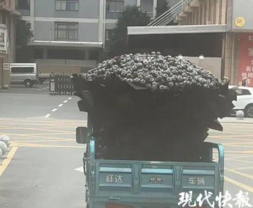 ​炸街！女子生日收到999朵“钢丝球玫瑰”，暗示多做家务？当事人回应