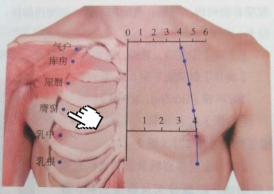 ​膺怎么读(每日一穴——膺窗穴)
