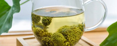 ​三七花花茶的功效与作用及禁忌 三七花花茶的功效与作用禁忌