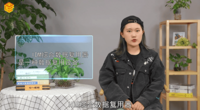 ​idm是什么意思「idm是什么意思的缩写」