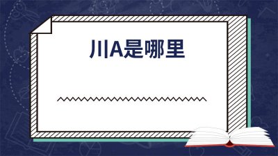 ​川a啥意思 川A是什么意思