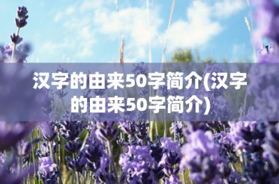 ​汉字的由来50字简介(汉字的由来50字简介)