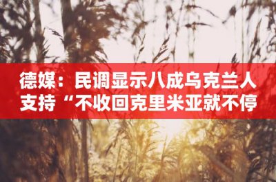​德媒：民调显示八成乌克兰人支持“不收回克里米亚就不停火”