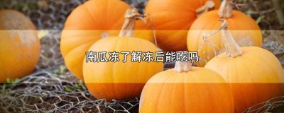 ​南瓜冻了可以吃吗 南瓜冻完还可以吃吗