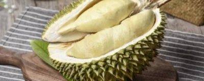​如何看看榴莲是否熟了 怎么看榴莲熟了吗