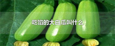 ​猪肉白瓜馅儿 白色做馅的瓜是什么瓜