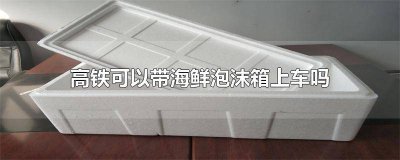 ​高铁可以带海鲜泡沫箱上车吗现在 坐火车能带泡沫箱海鲜吗